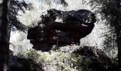 Excursión Senderismo Celles-sur-Plaine - circuit du col coquin  - Photo 10