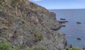 Trail Walking Banyuls-sur-Mer - banyuls cap rederis - Photo 4