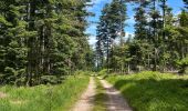 Tocht Stappen La Houssière - Marmonfosse - Photo 3