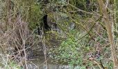 Trail Walking Antoing - televie personne  - Photo 1