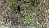 Trail Walking Antoing - televie personne  - Photo 1