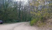 Percorso Marcia Châtel-Guyon - Rochepradiere-Le Colombier-Chazeron - Photo 1