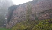 Tocht Stappen La Petite-Pierre - La Petite Pierre - rocher du Corbeau - maison troglodytes Graufthal - rocher Blanc - Photo 18