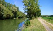 Tour Wandern Rivarennes - Rivarennes - Circuit 1 - 18.2km 225m 3h55 - 2020 07 13 - Photo 1