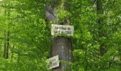 Randonnée Marche Longpont - en forêt de Retz_77_Longpont_Puiseux en Retz_AR - Photo 10
