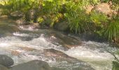 Trail Trail Petit-Bourg - INRA  - Photo 6