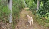 Trail Walking Ouffet - promenade au bois d'Ouffet et du trou du Loup - Photo 1