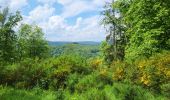 Trail Walking Vresse-sur-Semois - Laforet 200524 - Photo 9