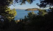 Tocht Stappen La Ciotat - la Ciotat parc Mugel - Photo 6