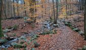 Trail Walking Spa - RS Spa 2024_11_17 - Photo 3