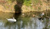 Tocht Stappen Uzès - Fontaine d’Eure - Photo 1