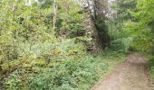 Trail Walking Cros - Le pont du diable, en p1rtant du gîte aux milles fleurs - Photo 6