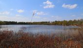 Randonnée A pied Ibbenbüren - Teutoschleife Heiliges Meer - Photo 1