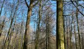 Tocht Stappen Aubange - Les étangs de Battincourt depuis Rachecourt  - Photo 16