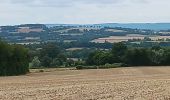 Tour Wandern Sury-ès-Bois - sury es bois  - Photo 3