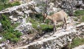 Trail Walking Die - Le Glandasse (Abbaye-Comptoir à moutons-Fauchard-Abbaye) - Photo 14