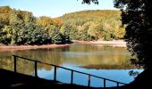 Tour Zu Fuß Sangerhausen - Von Wettelrode zum Kalmusgrund - Photo 5