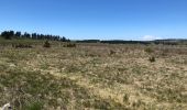 Excursión Senderismo Peyre en Aubrac - Aumont à Finieyrols - Photo 3