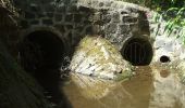 Tour Zu Fuß Butzbach - Wanderwege Wiesental - Eule - Photo 8