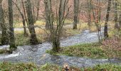Trail Walking Habay - Les 4 fils Aymon  - Photo 1