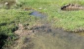 Tour Wandern Caussols - Caussol le 15/05 - Photo 14