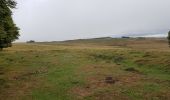 Tour Nordic Walking Prades-d'Aubrac - SityTrail - Sentier thématique de Brameloup - Photo 16