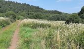 Excursión Senderismo Aydat - NARSE D'ESPINASSE DEPUIS LA GARANDIE - Photo 8