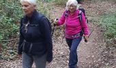 Trail Walking Cuges-les-Pins - cuges les pins le driou - Photo 6
