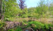 Trail Walking Durbuy - Petit-Han ... l Trail Walking Durbuy - Petit-Han ... l