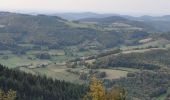 Trail Walking Glux-en-Glenne - Glux - Mt Beuvray - Photo 2