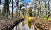 Tocht Stappen Halen - La vallée du Zwarte Beek à Zelem - Photo 1