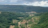 Trail Walking Arbois - Arbois - Les planches - Rocher du feu - Arbois  - Photo 2