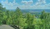 Trail Walking Liège - cani-rando tour (1ère étape) - Photo 15