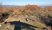 Trail Walking Les Vans - La-colline-des-oliviers - Photo 2