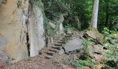 Tour Zu Fuß Befort - BH Herkules-Kapp Hiking Tour - Photo 4