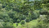 Percorso Marcia Bouillon - Corbion - Bouillon 1 - Photo 6