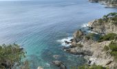 Trail Walking Hyères - Viens - Photo 9