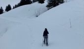 Trail Snowshoes Le Grand-Bornand - Le col des ânes  - Photo 6