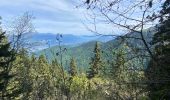Trail Walking Revel - Lac du Crozet - Photo 19