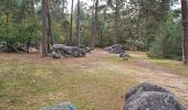 Trail Walking Fontainebleau - Fontainebleau - Sentier des carriers - Photo 14