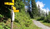 Randonnée Marche Pralognan-la-Vanoise - Bois de la Rossa (boucle) - Photo 8