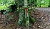 Excursión Senderismo La Roche-en-Ardenne - Un petit mélange des promenades balisées de la commune  - Photo 4