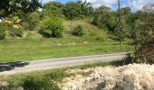Trail Walking Sainte-Anne - Belle mare  - Photo 1