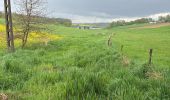 Trail Walking Namur - Cognelée Fort Marchovelette boucle - Photo 2