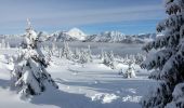 Tocht Sneeuwschoenen Aillon-le-Jeune - 2021-01-16 - Photo 1