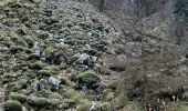 Randonnée Marche Cleurie - cleurie-la charmes-roches du thin-col du singe - Photo 11