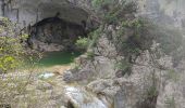 Trail Walking Navacelles - cal - Photo 13