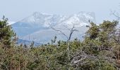 Tour Wandern Tallard - TALLARD tête de Boursier o m s  - Photo 2