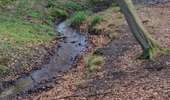 Percorso Marcia Watermael-Boitsfort - Watermaal-Bosvoorde - promenade matinale a boisfort - Photo 8