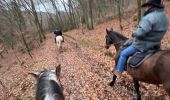 Trail Horseback riding Bastogne - Tripoux décembre 2022 - Photo 3